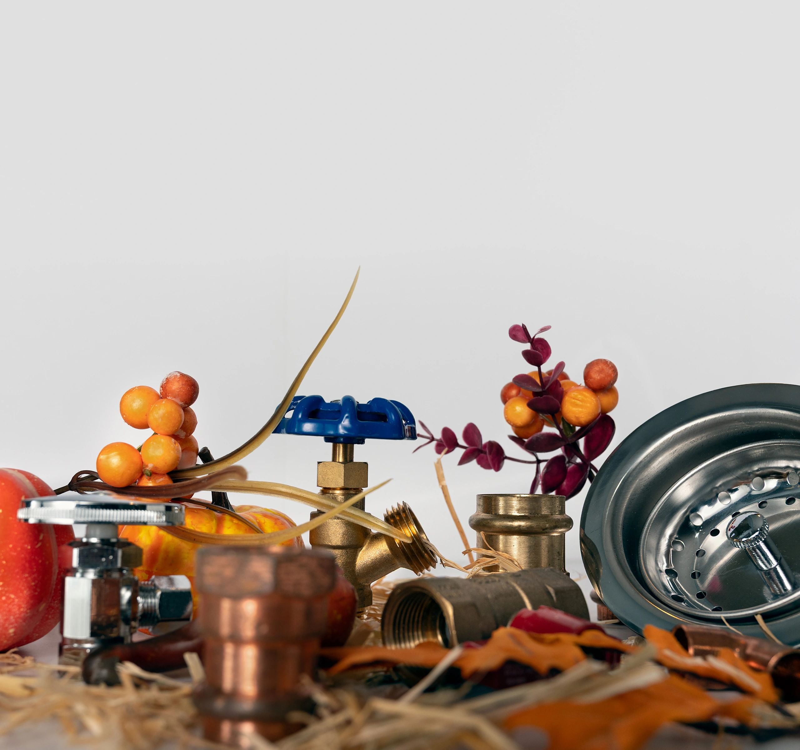 Plumbing tools representing drain and flow inspection